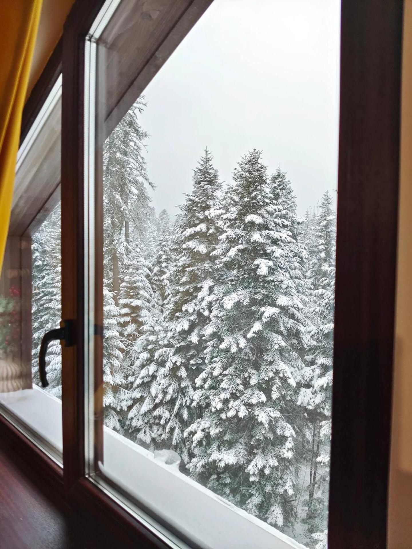 Borovets Dream Studio Dış mekan fotoğraf